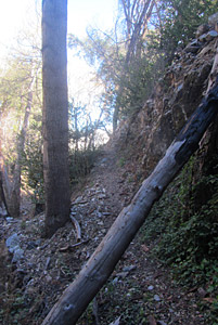 Kenyon De Vore Trail